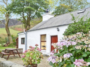Llwyn Y Brig Isaf